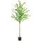 6ft Artificial Enkianthus Tree, Realistic Green Foliage Potted Plant for Indoor Decor